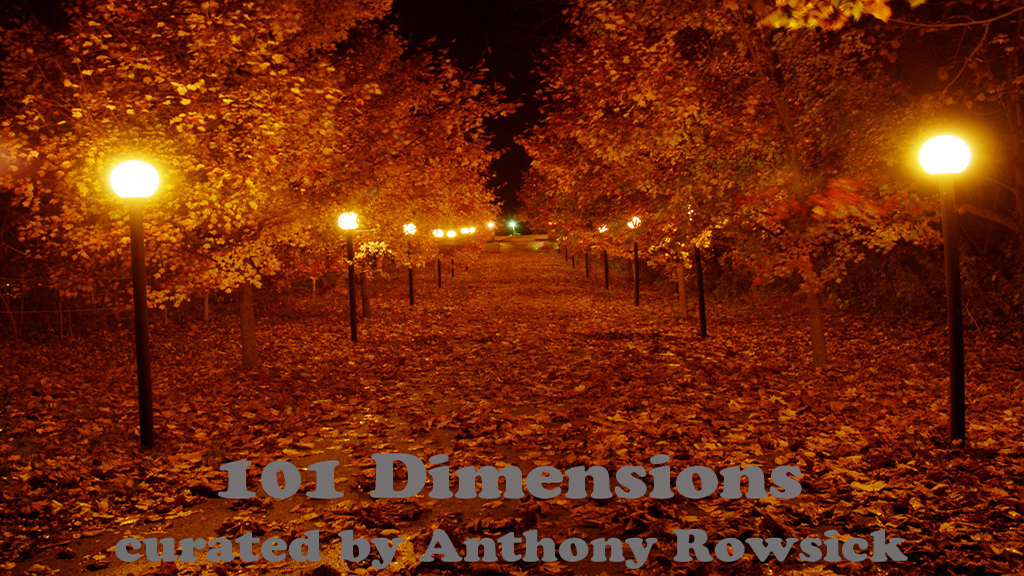 101 Dimensions – November 2017