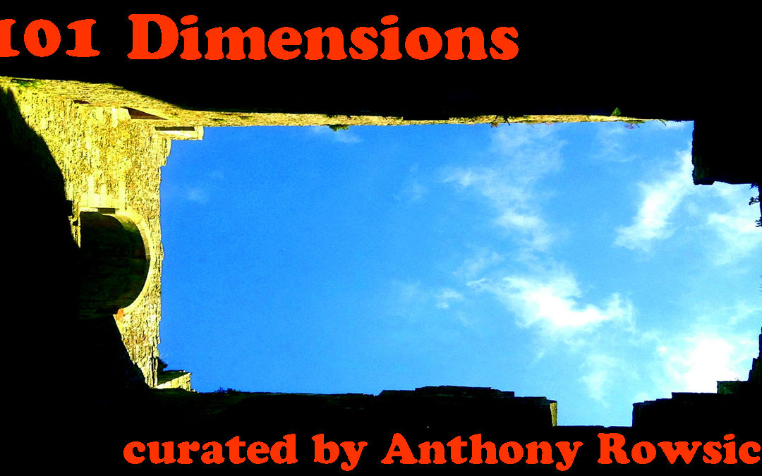 101 Dimensions – February 2020