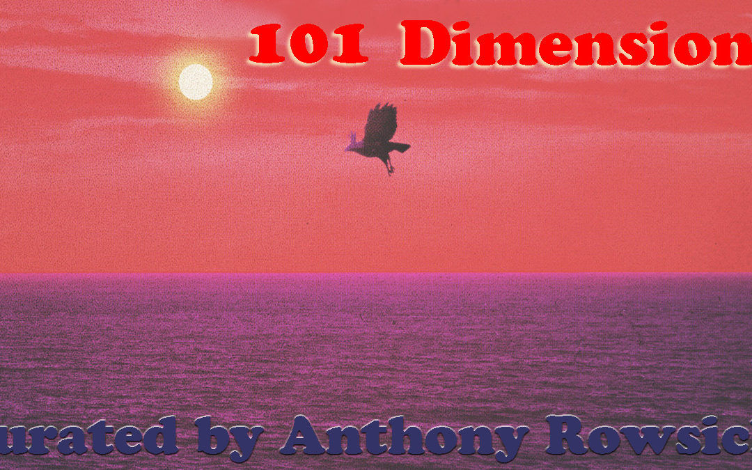101 Dimensions – November 2020