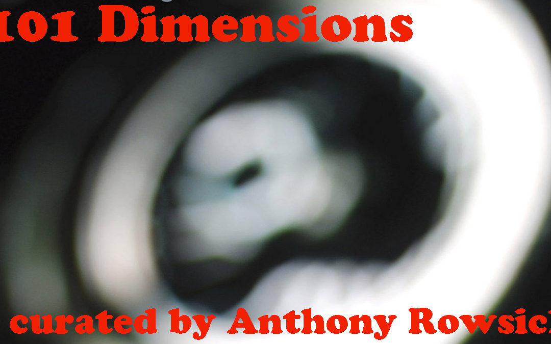 101 Dimensions – January 2022