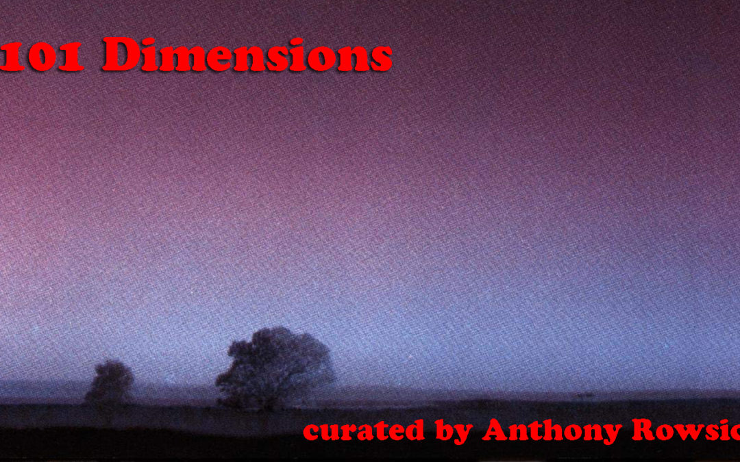 101 Dimensions – February 2022